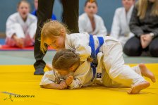 20.05.2023 Wachau JUDO Kids Cup